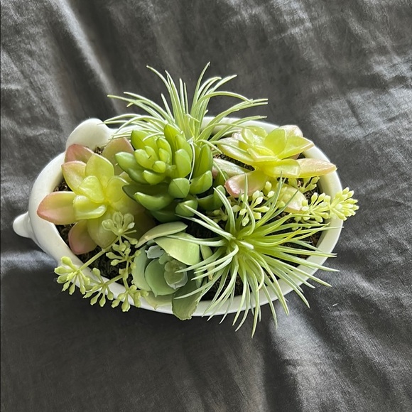 Hedge Hog Planter with Green Succulents - Picture 3 of 5